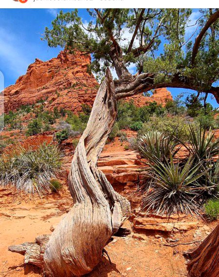 Beautiful Nature image