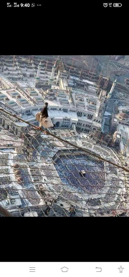 ALLAH ALLAH