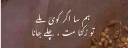 Dhond k to lao 😜