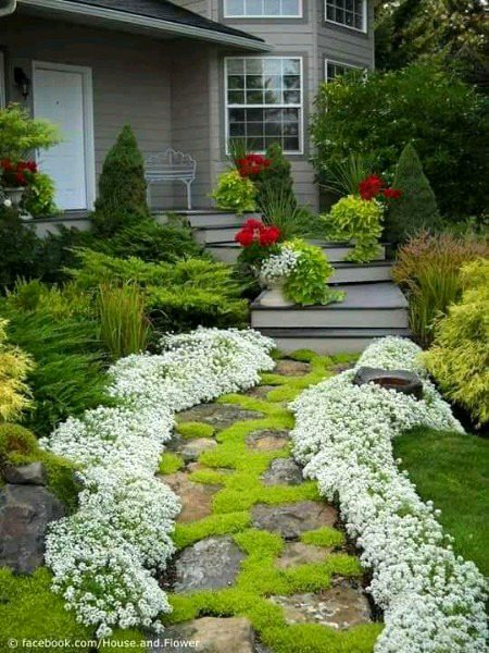 Beautiful nature