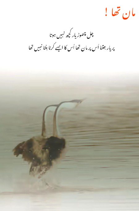 Sad Poetry image