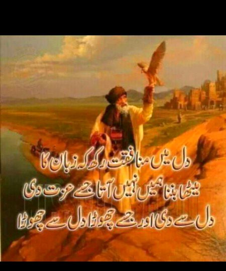 Munafiq....