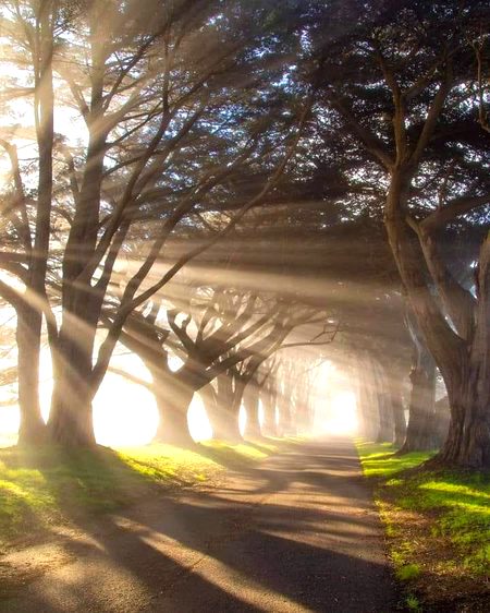 Beautiful Nature image