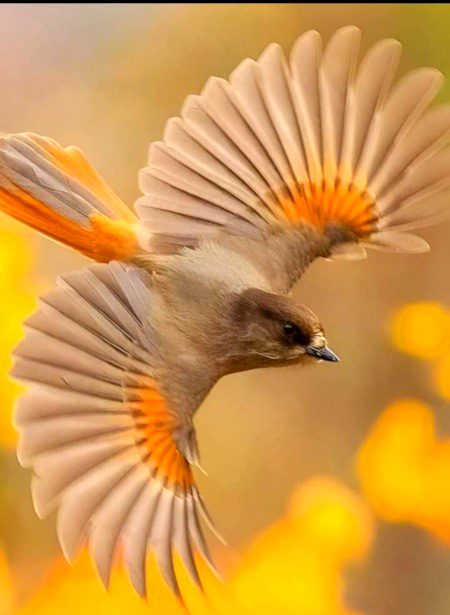 Beautiful Nature image