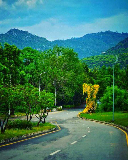 Beautiful Nature image