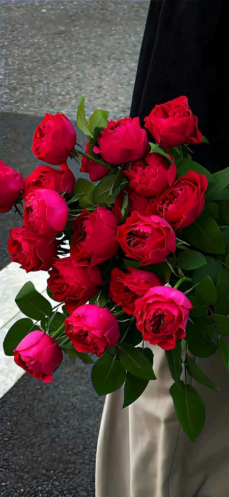 Beautiful Nature image