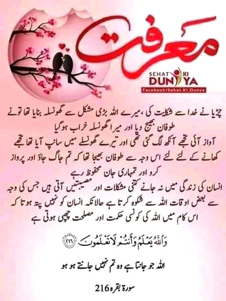 Islamic Quotes image