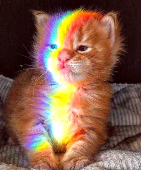 Beautiful Nature image