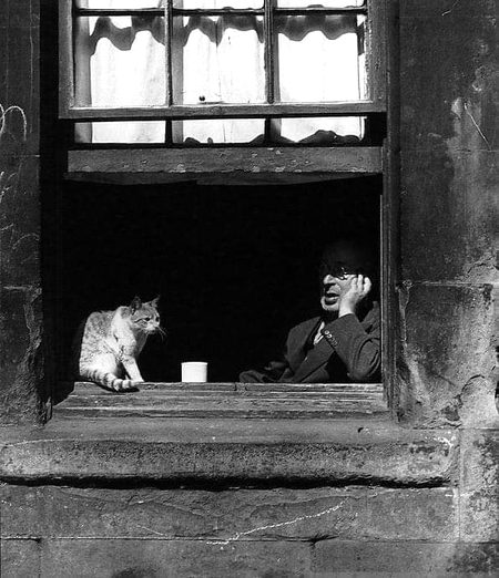 Beautiful Nature image