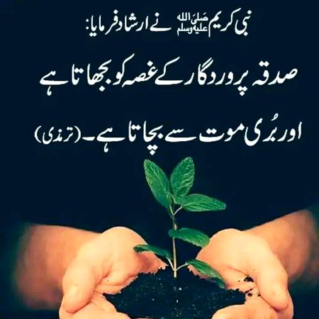 Islamic Quotes image