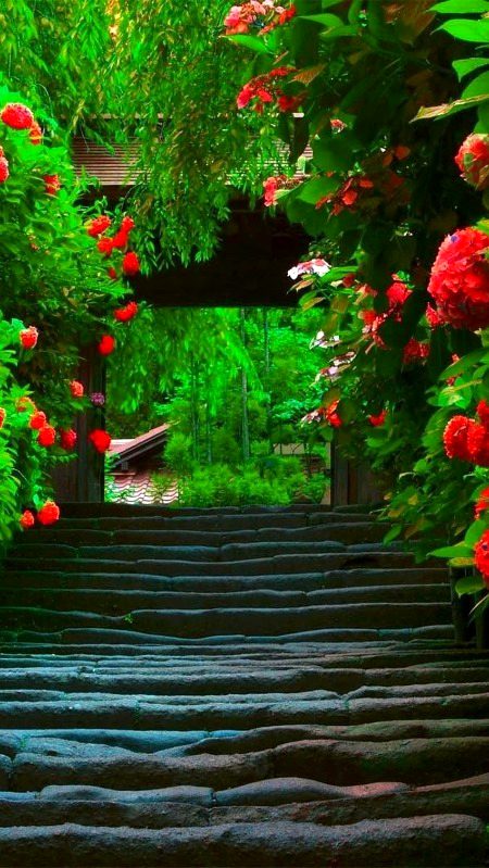 Beautiful Nature image