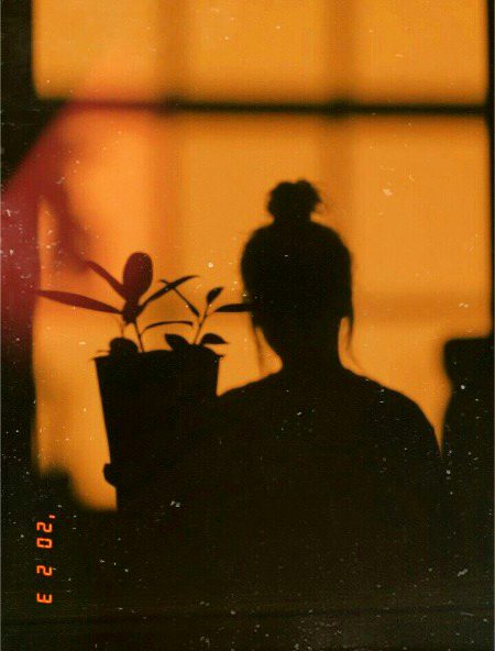 *Result is expected before 26 August.* *Datesheet link for the final term exams will be opened on 30 August.*
*Final term exams starting from 17 September.*