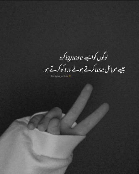 Attitude Quotes image