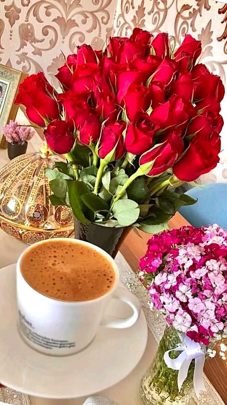 Beautiful Nature image