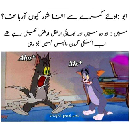 Memes & Satire image