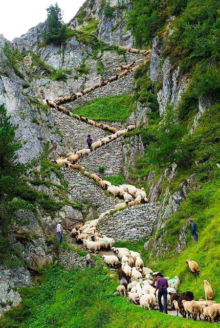 Kalam valley swat😍
