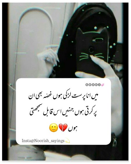 Attitude Quotes image