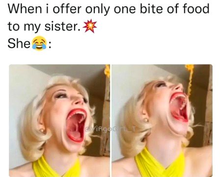 Memes & Satire image