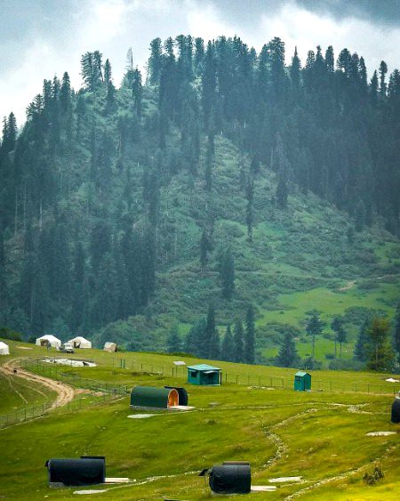 Beautiful Nature image