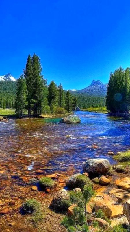 Beautiful Nature image