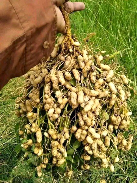 Beautiful Nature image