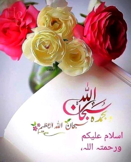 Islamic Quotes image