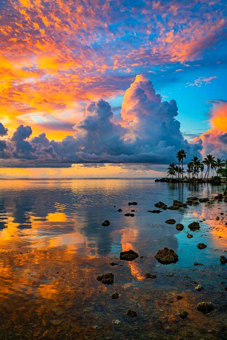 Beautiful Nature image