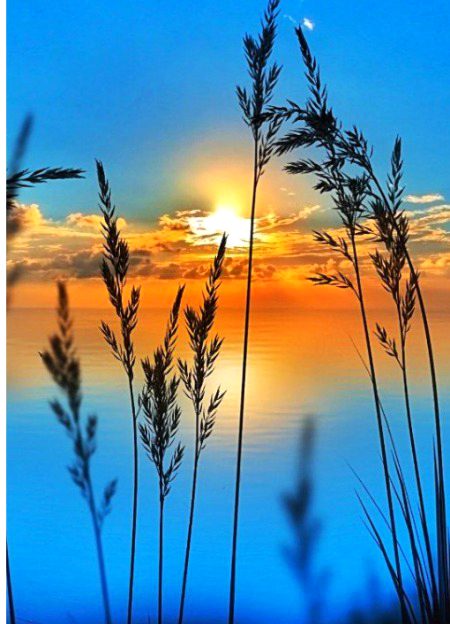 Beautiful Nature image