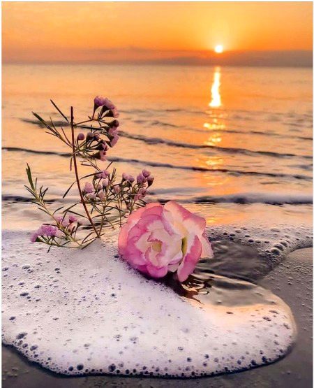 Beautiful Nature image