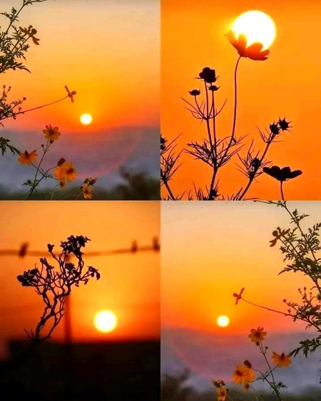 Beautiful Nature image