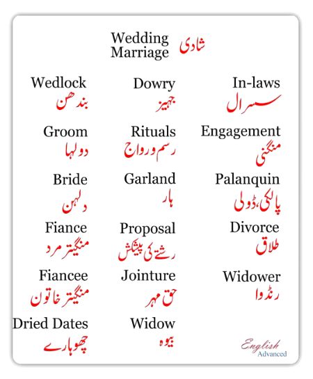 Tips for Students image