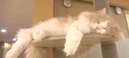 Beautiful Nature image