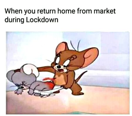 Memes & Satire image