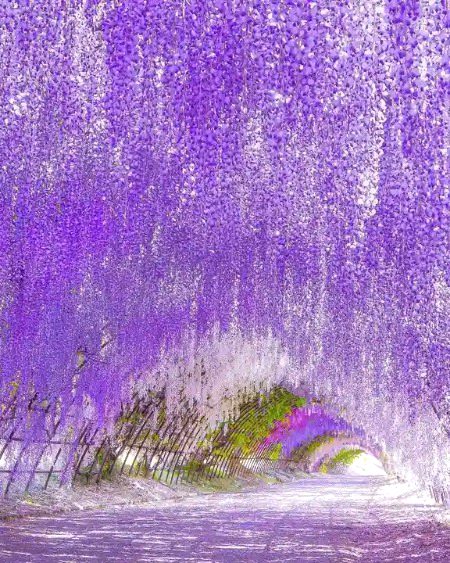 Beautiful Nature image