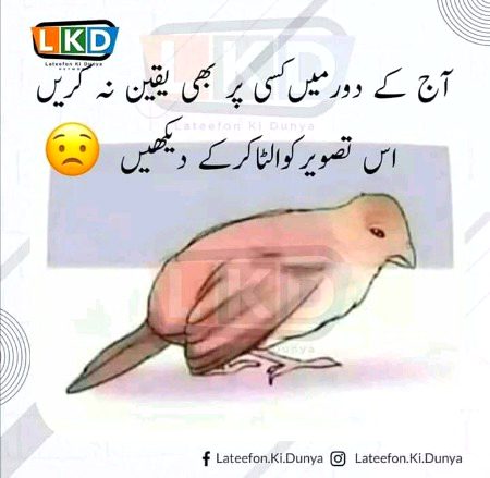 Jokes image