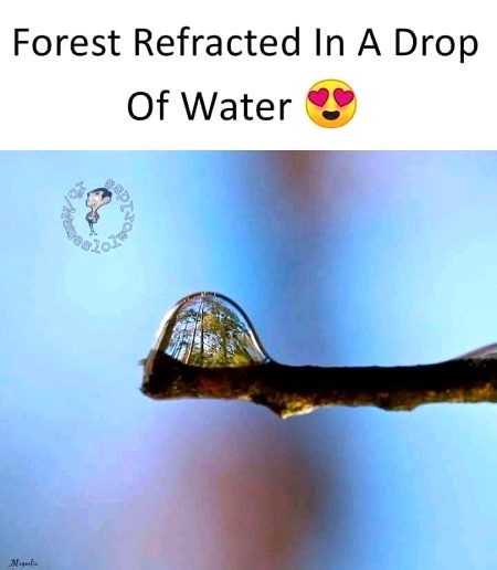 Beautiful Nature image