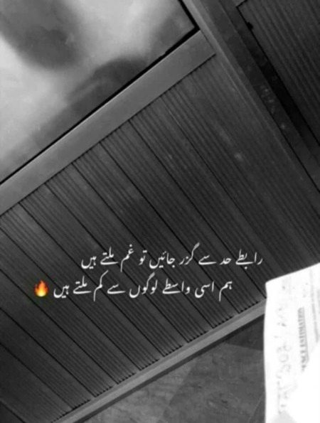 Sayni Siddiqui
