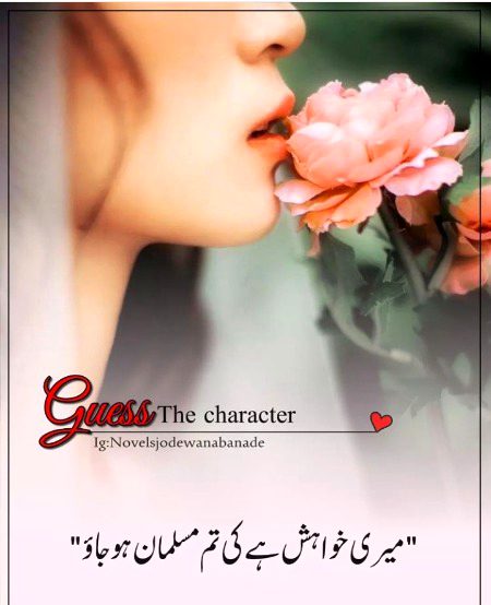 Romantic Novels image