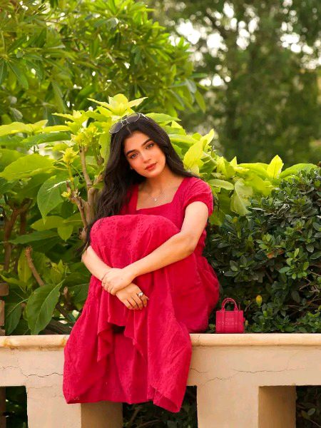 Pakistani Celebs image