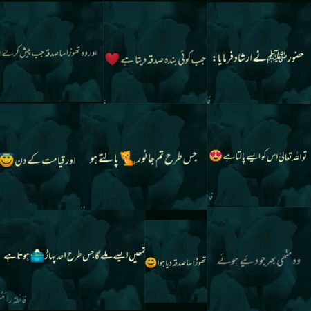 سبحان اللہ ❤️ ❤️ ❤️