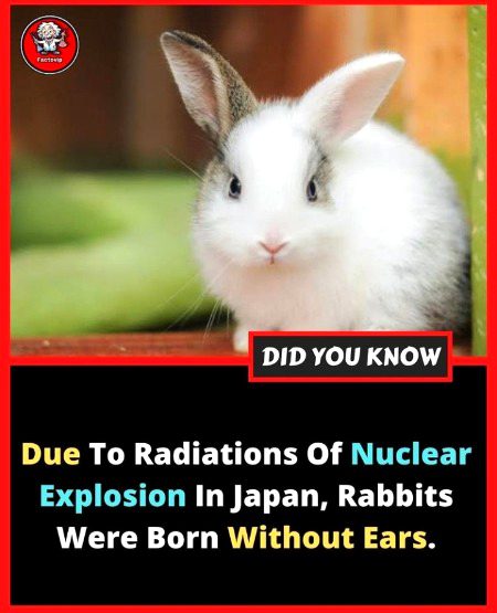 Interesting Posts image