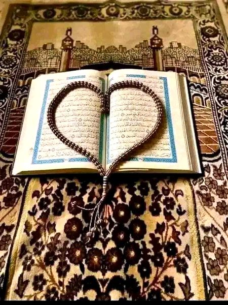 یااللہ! ہمیں عاجزی، انکساری، درگزر اور توبہ کرنے والوں میں شامل فرما اور ہم سب کو صحت اور خوشحالى کے ساتھ ايمان والى زندگى عطا فرما۔ اَلســَلامُ_عَلَيــْكُم