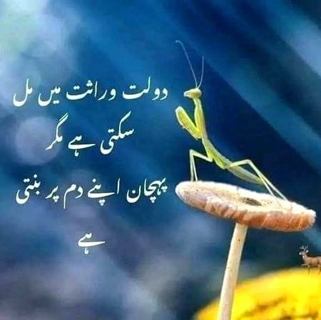 Life Advice image