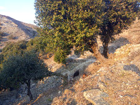 غروب شمس اور لوگوں سے دور ماحول کتنا پرسکون ہوتا ہے