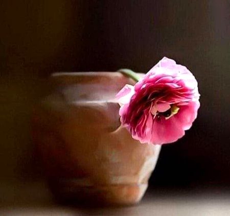 Beautiful Nature image