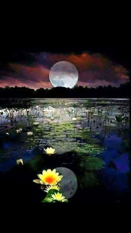 Beautiful Nature image