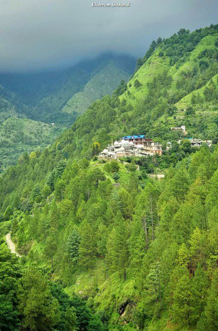 Beautiful Nature image