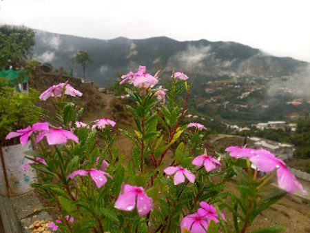 Beautiful Nature image