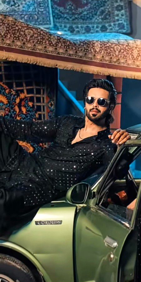 Pakistani Celebs image