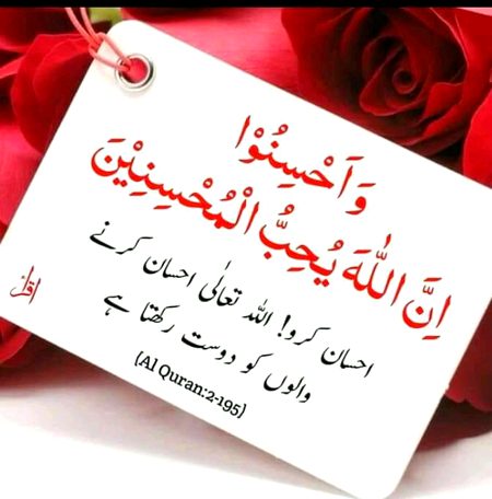 Islamic Quotes image